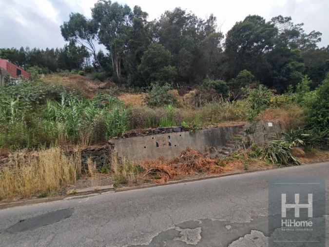 Terreno para Venda em Caniço Foto 8