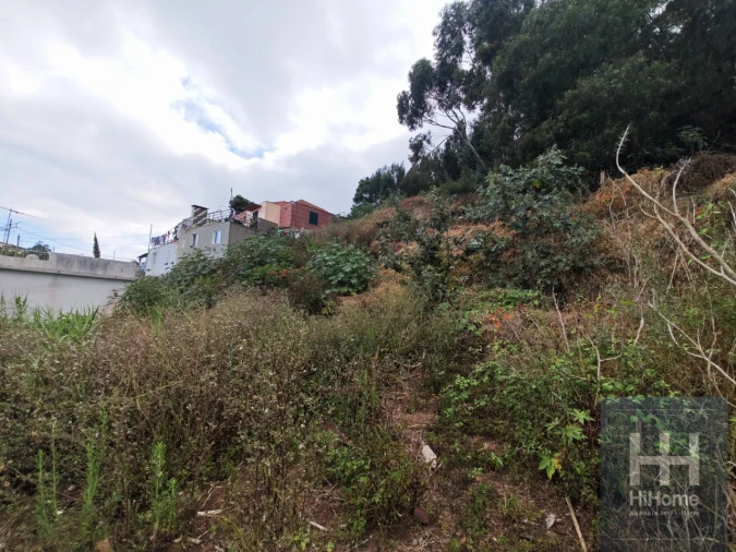 Terreno para Venda em Caniço Foto 15