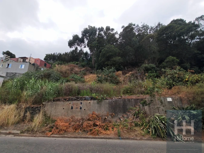 Terreno para Venda em Caniço Foto 19