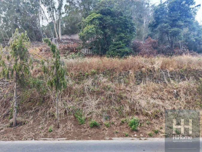 Terreno para Venda em Caniço Foto 23