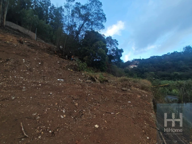 Terreno para Venda em Caniço Foto 29