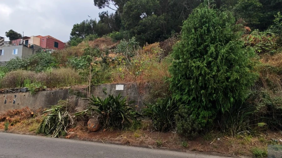 Terreno para Venda em Caniço