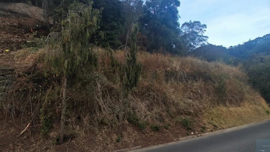 Terreno para Venda em Caniço