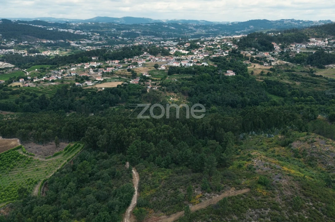 Terreno para Venda em Banho e Carvalhosa Foto 6