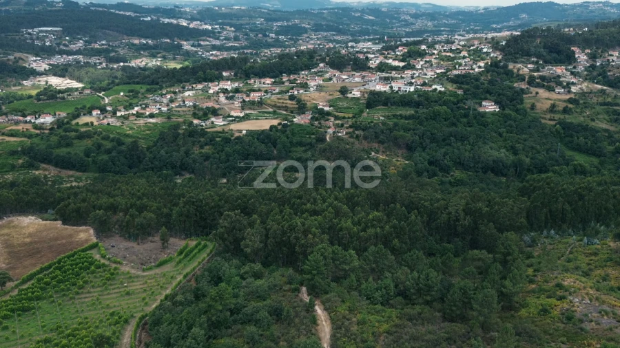 Terreno para Venda em Banho e Carvalhosa