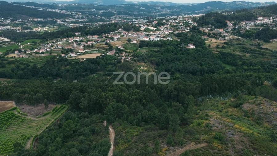 Terreno para Venda em Banho e Carvalhosa