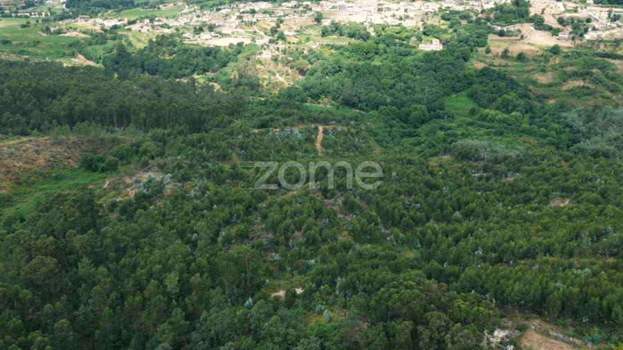 Terreno para Venda em Banho e Carvalhosa