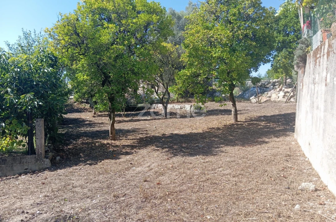Terreno para Venda em Geraz do Minho Foto 6