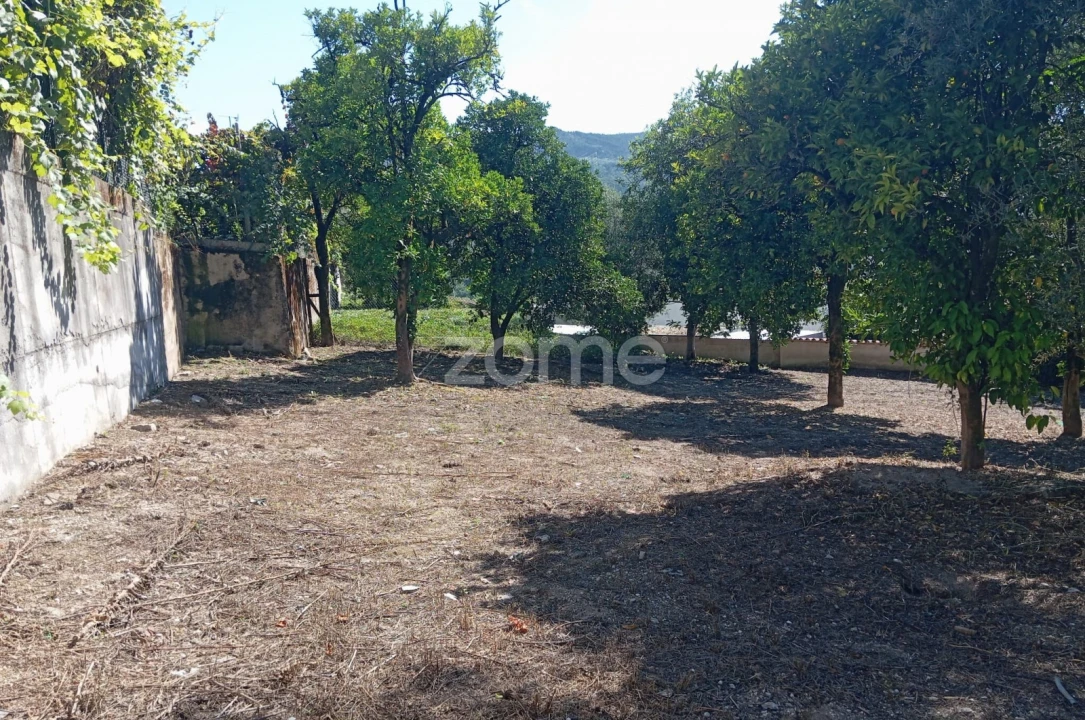 Terreno para Venda em Geraz do Minho Foto 9
