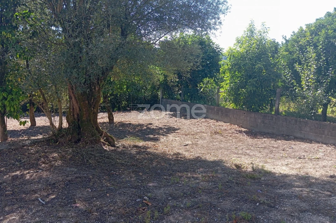 Terreno para Venda em Geraz do Minho Foto 4