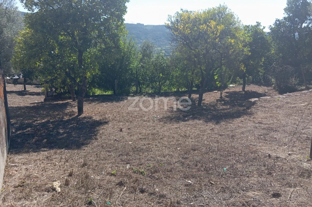 Terreno para Venda em Geraz do Minho Foto 3