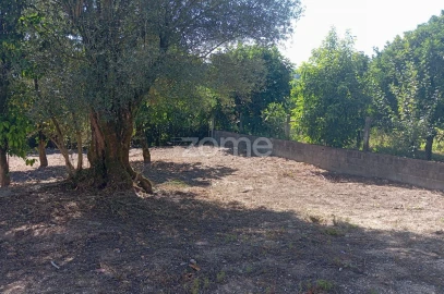 Terreno para Venda em Geraz do Minho