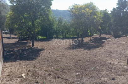 Terreno para Venda em Geraz do Minho