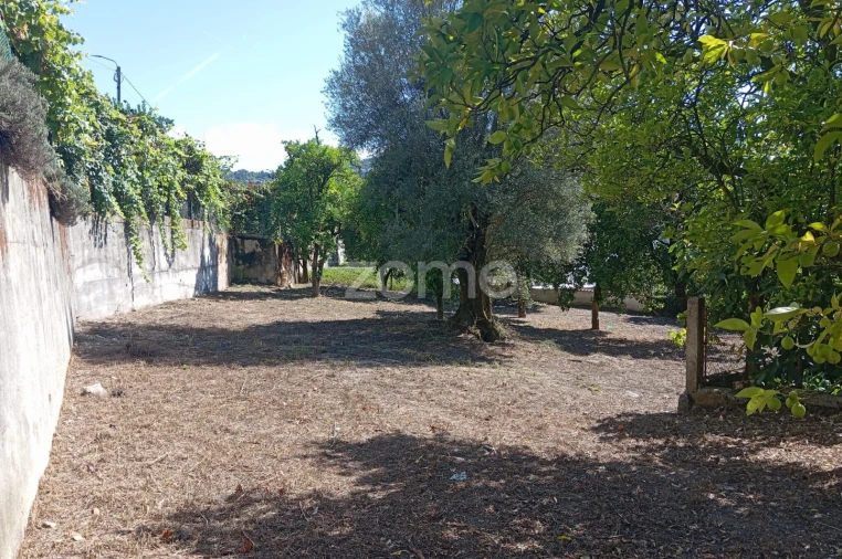 Terreno para Venda em Geraz do Minho Foto 10