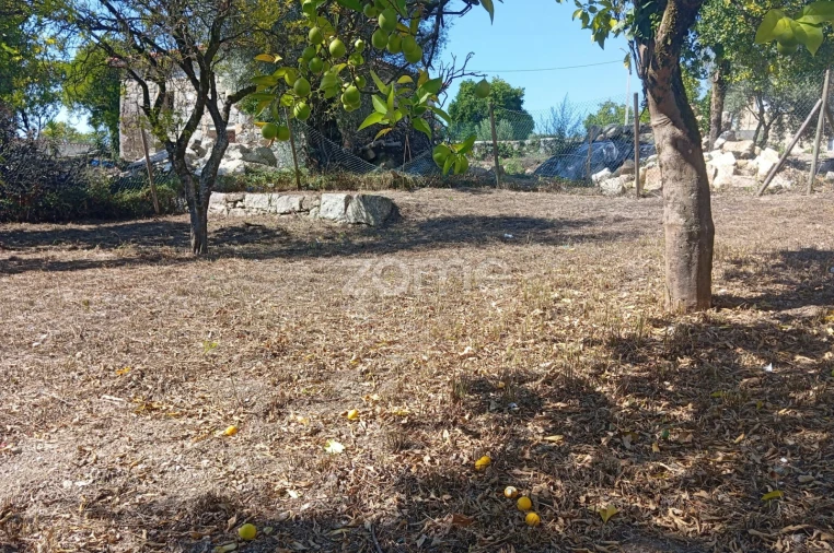 Terreno para Venda em Geraz do Minho Foto 8