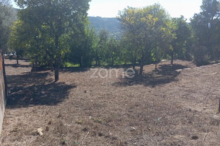 Terreno para Venda em Geraz do Minho Foto 3