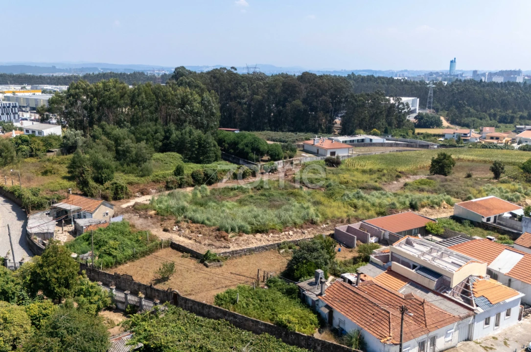 Terreno para Venda em Moreira Foto 11