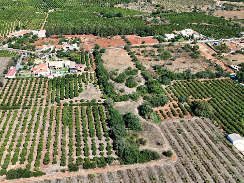 Terreno para Venda em Silves Foto 10