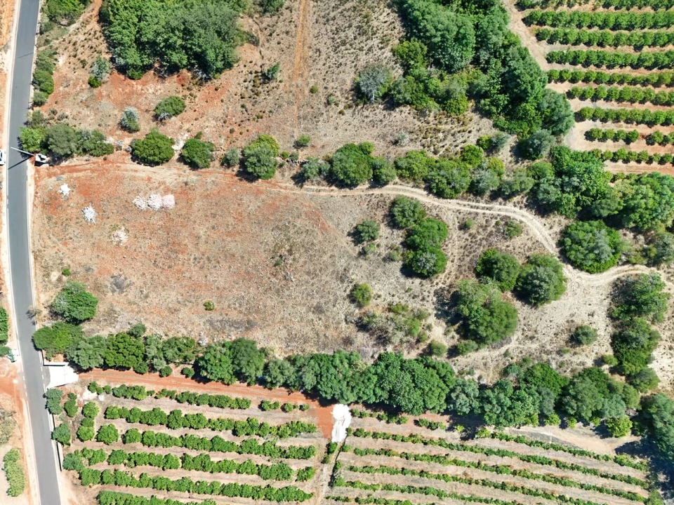 Terreno para Venda em Silves Foto 12