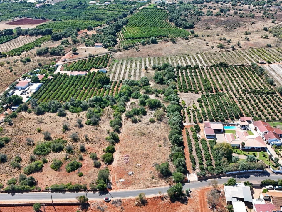 Terreno para Venda em Silves Foto 13