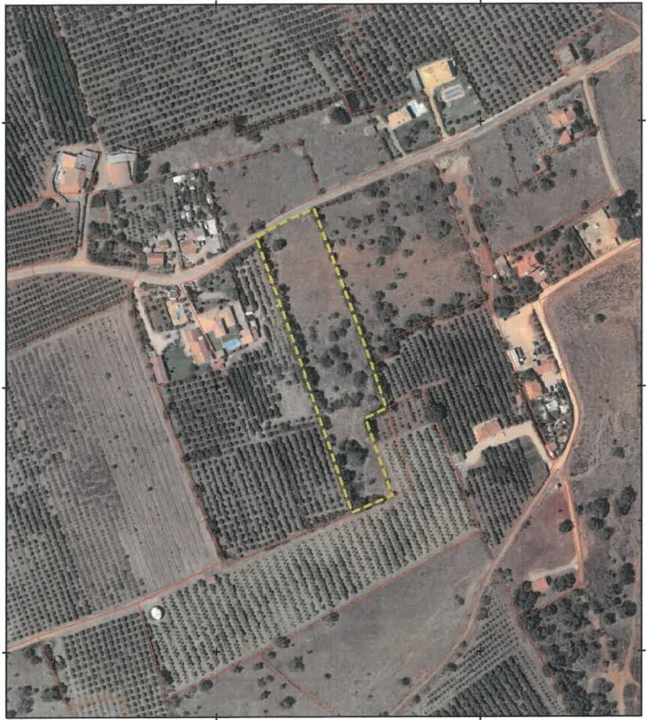 Terreno para Venda em Silves Foto 21