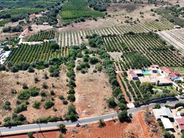 Terreno para Venda em Silves