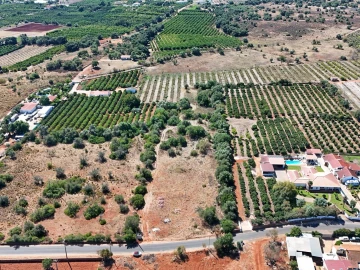 Terreno para Venda em Silves
