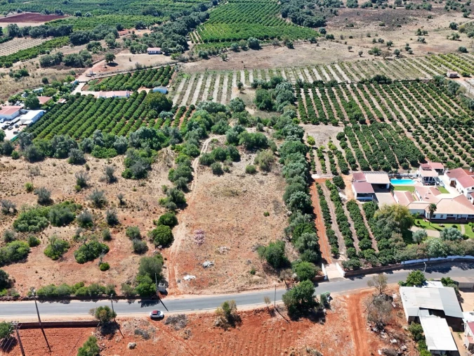 Terreno para Venda em Silves Foto 3