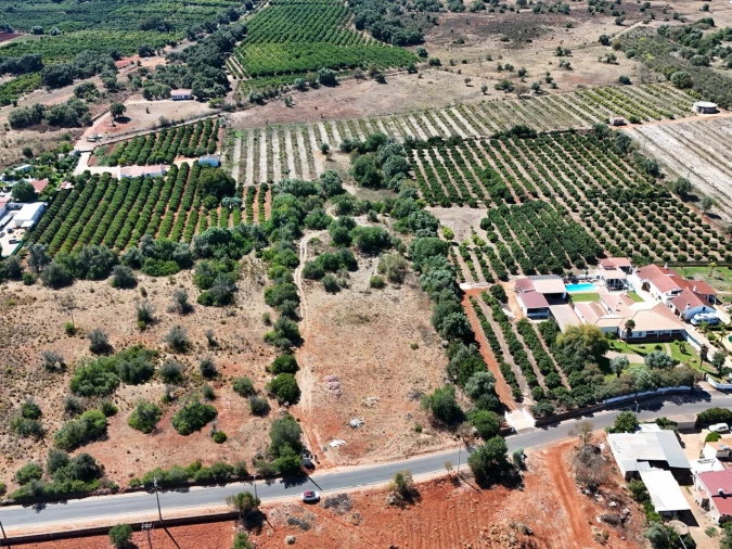 Terreno para Venda em Silves Foto 8