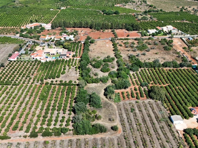 Terreno para Venda em Silves Foto 9