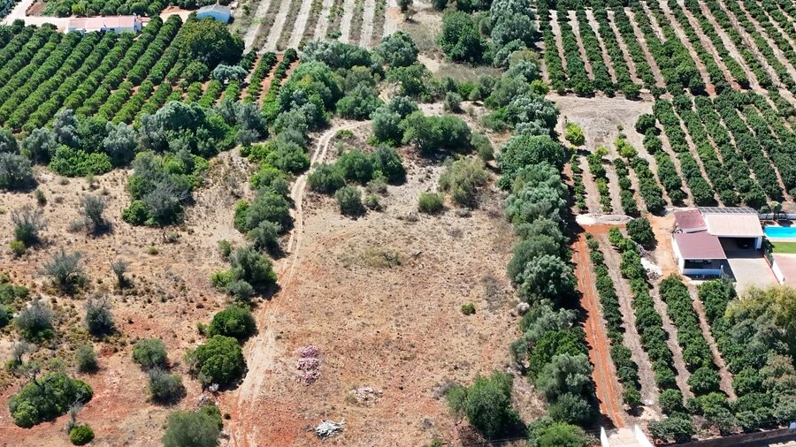 Terreno para Venda em Silves