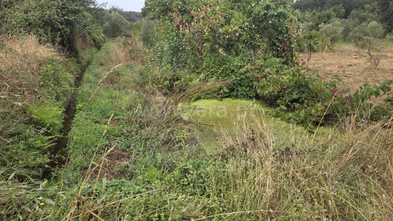 Terreno para Venda em Souto da Casa Foto 5