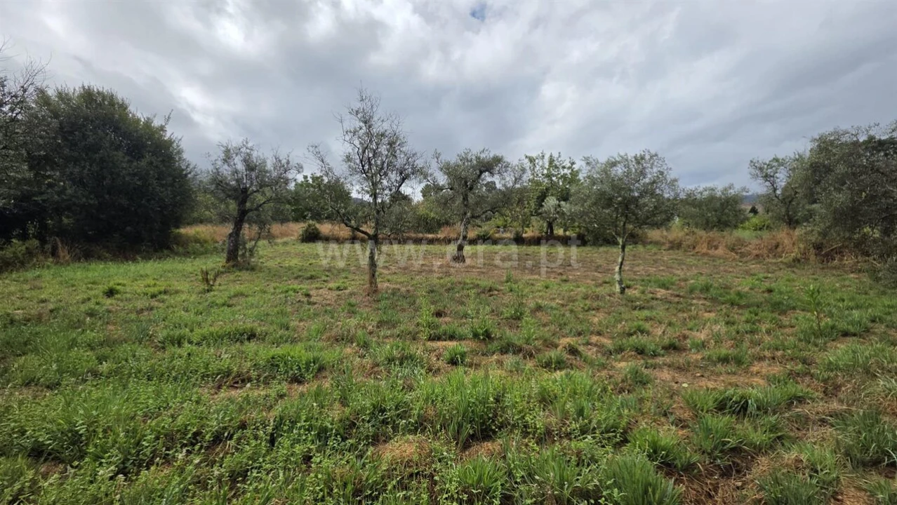 Terreno para Venda em Souto da Casa Foto 18