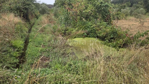 Terreno para Venda em Souto da Casa