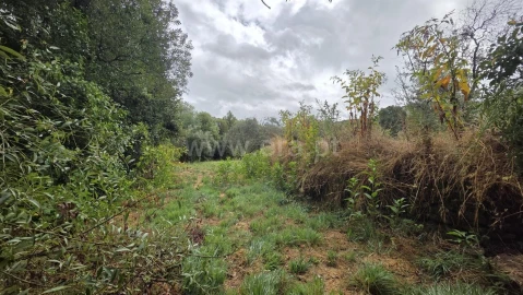 Terreno para Venda em Souto da Casa