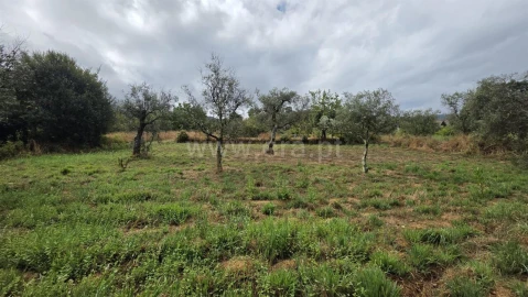 Terreno para Venda em Souto da Casa