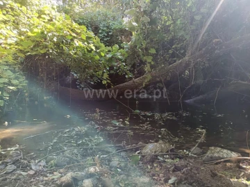 Terreno para Venda em Souto da Casa