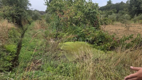 Terreno para Venda em Souto da Casa