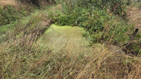 Terreno para Venda em Souto da Casa