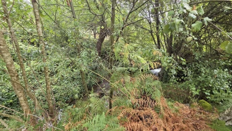 Terreno para Venda em Souto da Casa