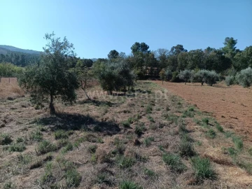 Terreno para Venda em Souto da Casa