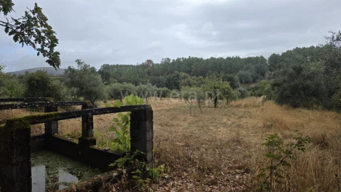 Terreno para Venda em Souto da Casa