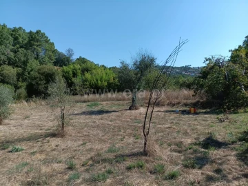 Terreno para Venda em Souto da Casa