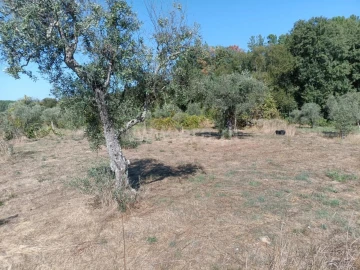 Terreno para Venda em Souto da Casa