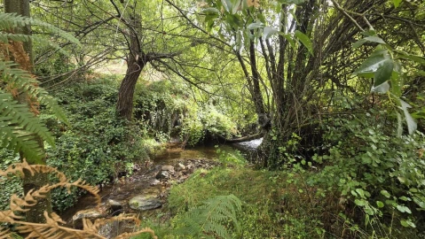 Terreno para Venda em Souto da Casa