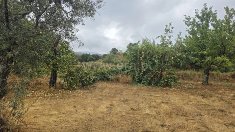 Terreno para Venda em Souto da Casa