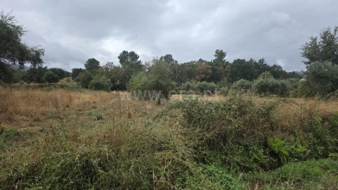 Terreno para Venda em Souto da Casa