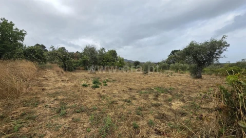 Terreno para Venda em Souto da Casa