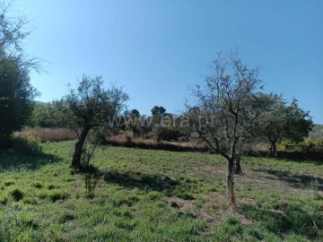 Terreno para Venda em Souto da Casa