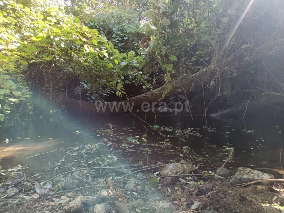 Terreno para Venda em Souto da Casa Foto 13